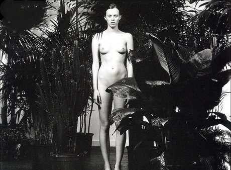 Karen Elson nude actress picture
