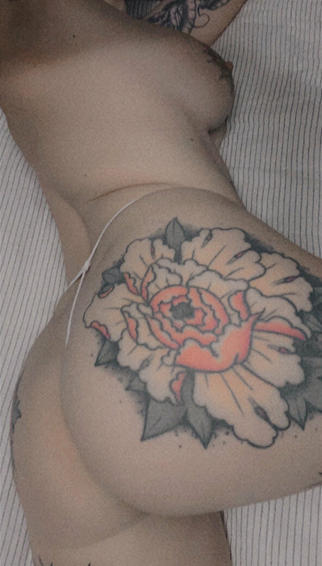 meowoliviameow pornstar naked picture