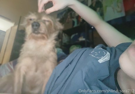 Sora Shiina exclusive star gallery