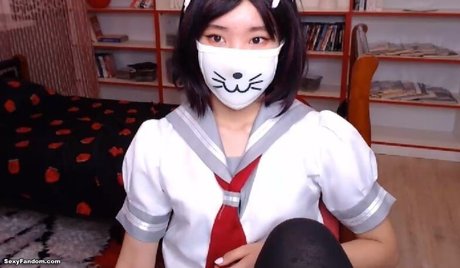 Pancakee star free photo