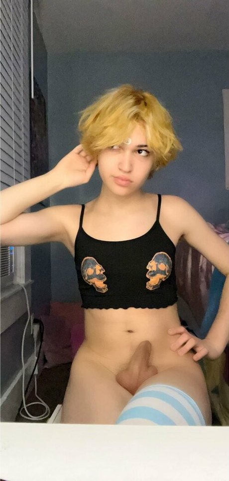 Felix thelynx art star pictures