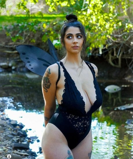 Danarhakos best model archive