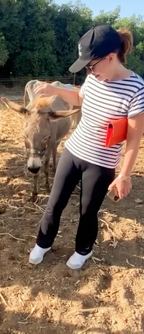 Kay Burley pornstar top photos