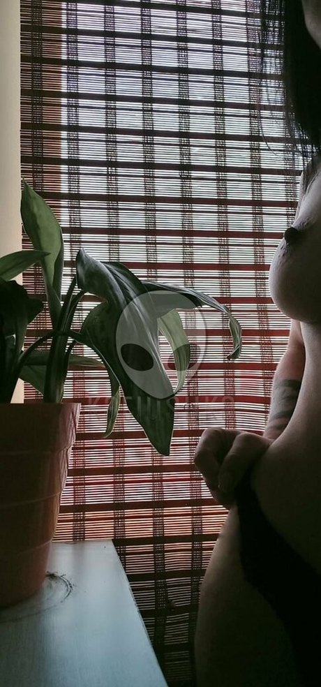 kthegray star nudes pic