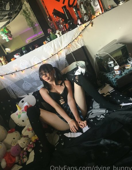 Dying bunny model porn picture