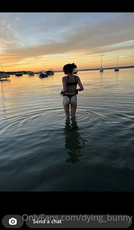 Dying bunny nude pornstar image