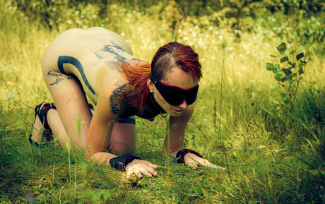 Jokers Harley Quinn pornstar free picture