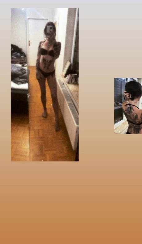 krockig erotic star archive