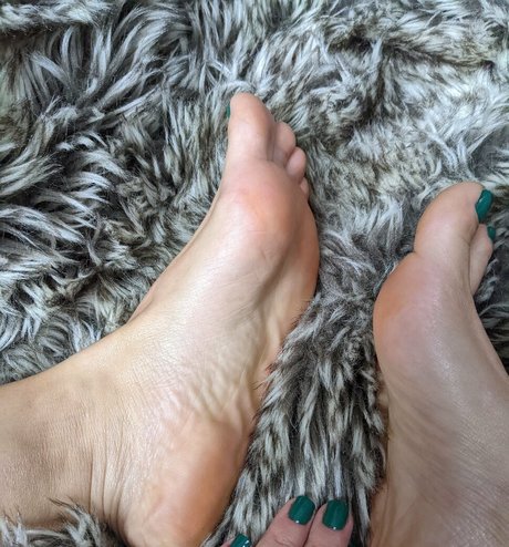 DominantBasset perfect model archive