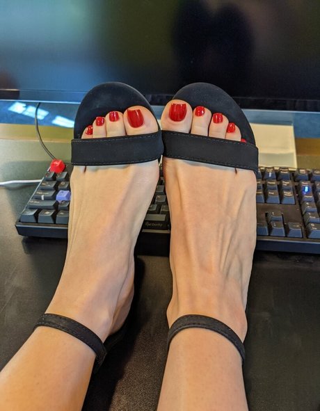 DominantBasset star top archive