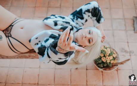 solariez hd model pic