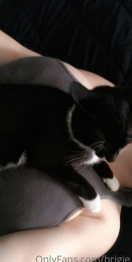 Brigitaitken model exclusive gallery