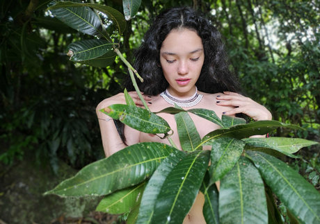 MakaylaCortez perfect star galleries