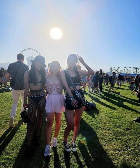 Yvonneflinetv sexy star galleries