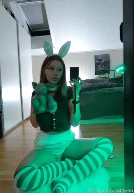 Sniff You star free photos