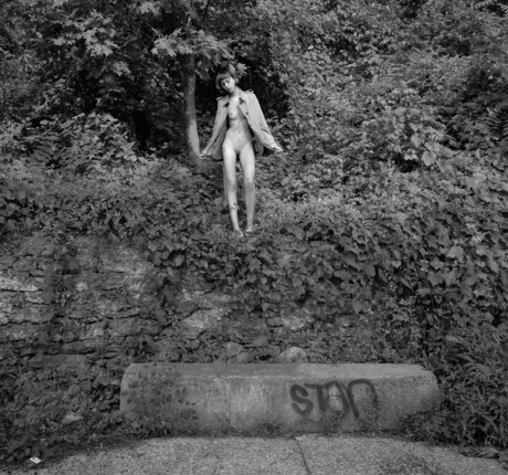 Kara Neko star beautiful img