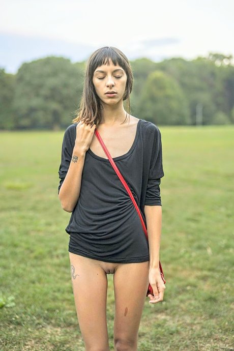 Kara Neko beautiful star gallery