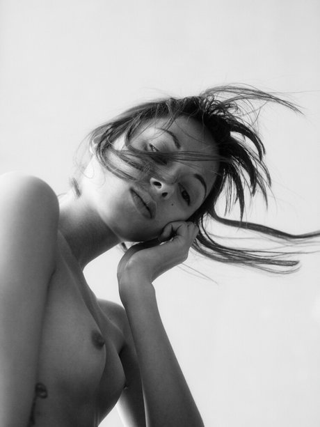 Kara Neko perfect star archive