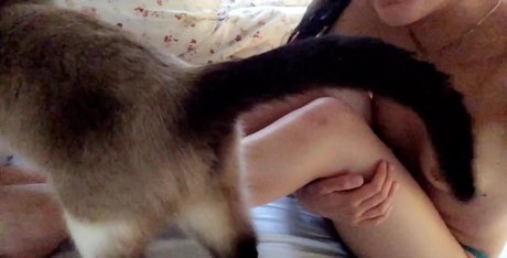 Ashley Bednarek art star pictures