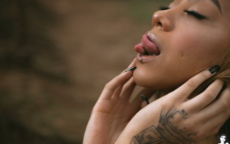 itrixsg model top img