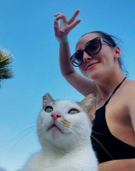 palmoliff star hd photo