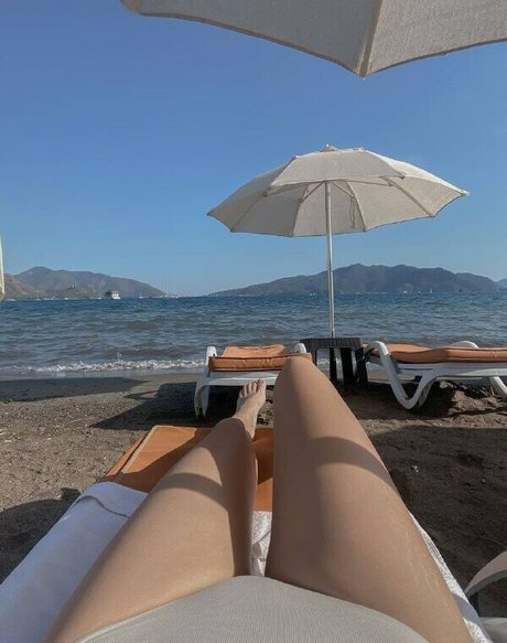 palmoliff hot star gallery