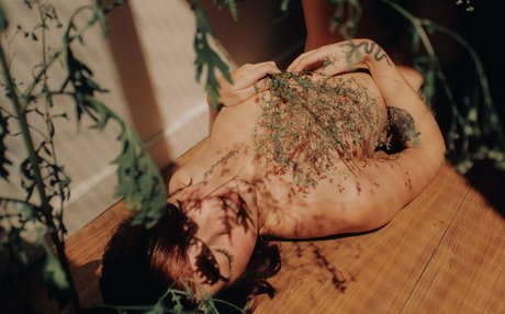 Aliesealieseoff sex pornstar image