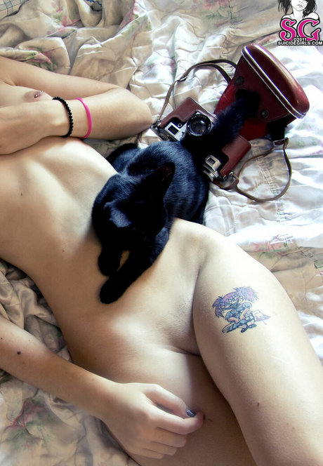 Plum sg model art img