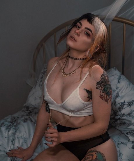 Ashesbardole star porn pic