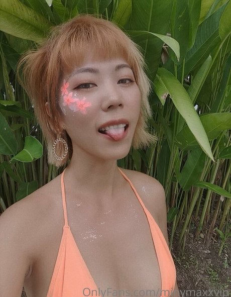 Minymaxxvip free pornstar img