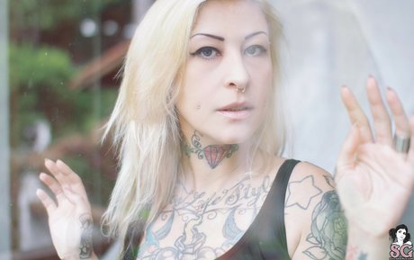 Kasha Lee star top img