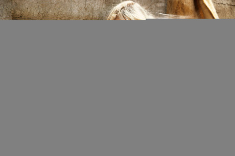 Susie Owens nude model photos