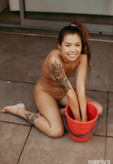 Letye pornstar high quality galleries