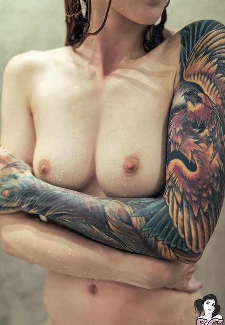 Kelloggsbombs star hd galleries