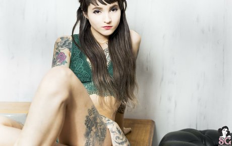 Devon SG model high quality img