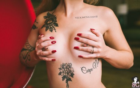 Vyne exclusive pornstar archive