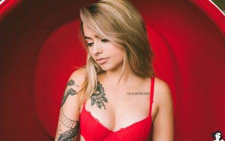 Vyne nice model image