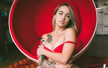 Vyne model top gallery