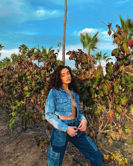 Liraz Nomdar pornographic model photo