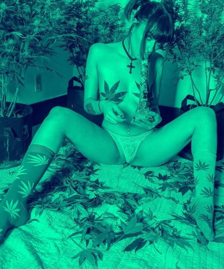 Amethyst queen19 star pornographic photos