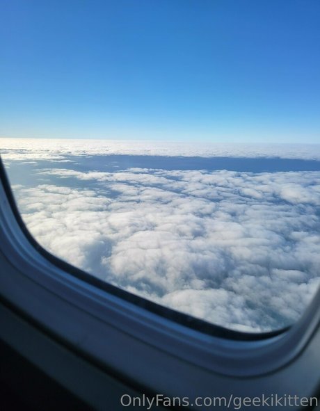 geekikitten star perfect img