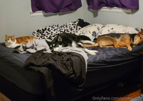 geekikitten top star pics