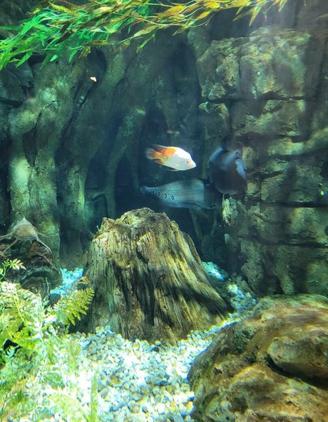 geekikitten pretty actress pic