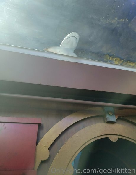 geekikitten star nude picture