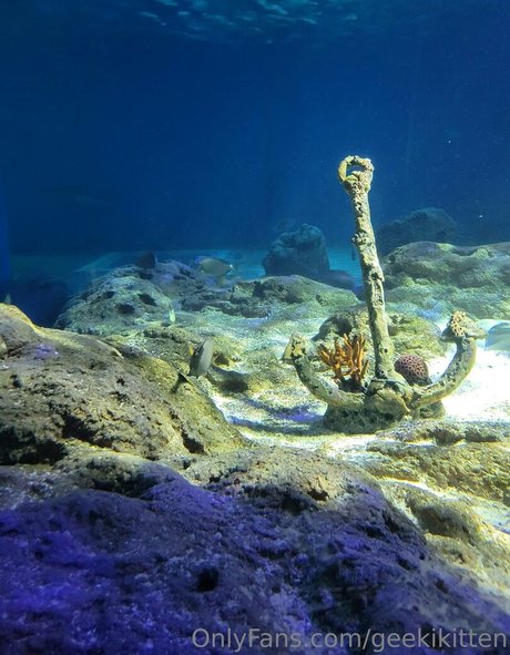 geekikitten nice actress photo