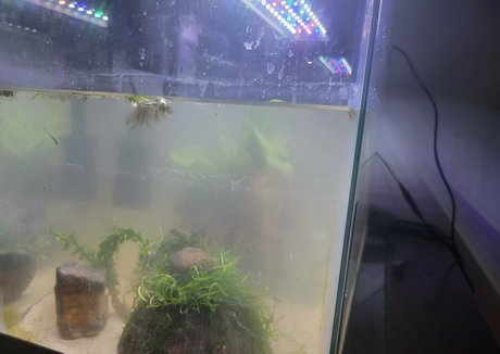 geekikitten pornstar beautiful gallery