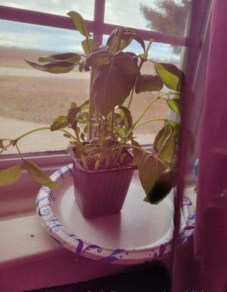 geekikitten high quality actress gallery