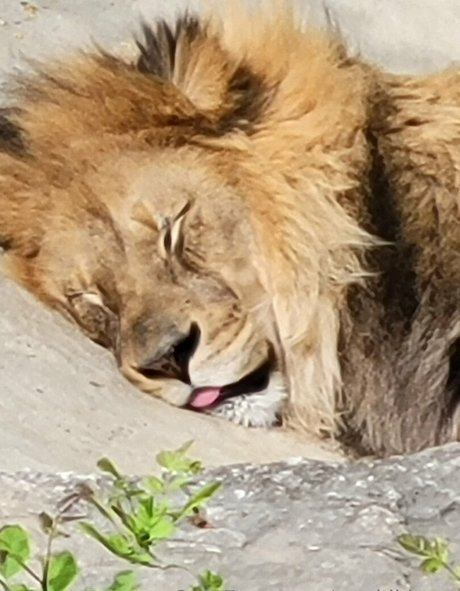 geekikitten hot model gallery