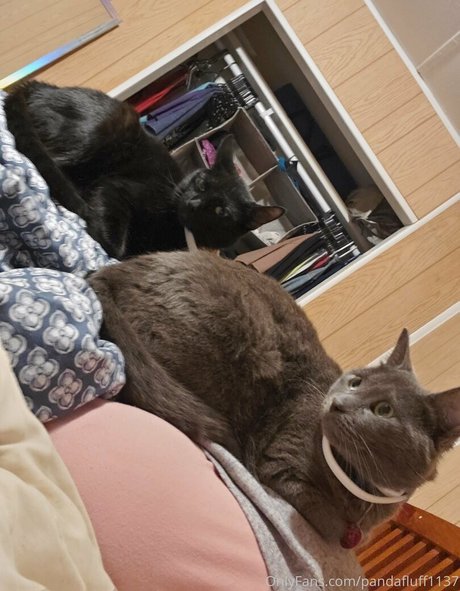 pandafluff1137 naked model galleries