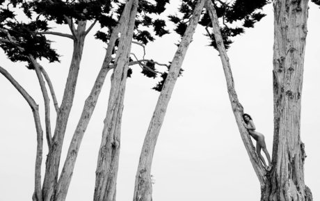 Kendall Jenner model hot picture